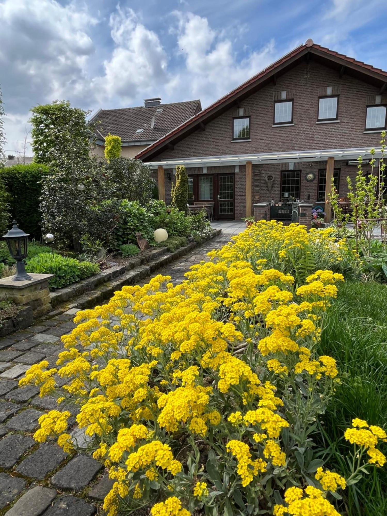 Ferienwohnung Jansen Selfkant Bagian luar foto