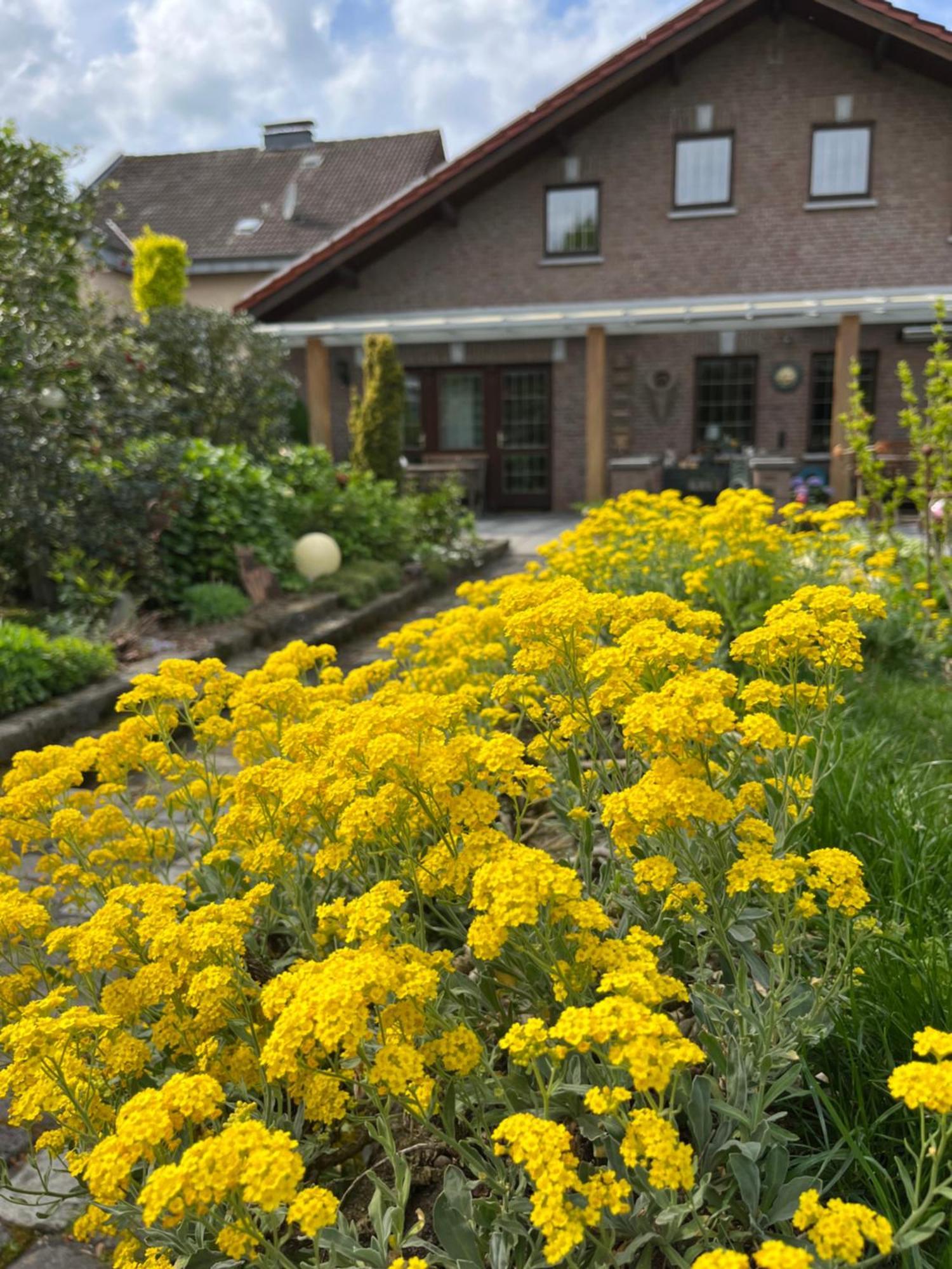 Ferienwohnung Jansen Selfkant Bagian luar foto